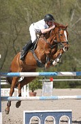 IMG_0249