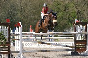 IMG_0254