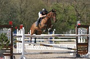 IMG_0270
