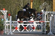 IMG_0015