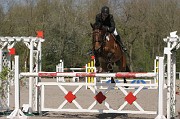 IMG_0106