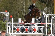 IMG_0117