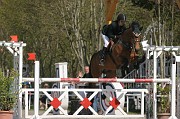 IMG_0133