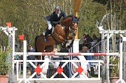 IMG_0139