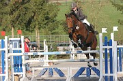 IMG_0015