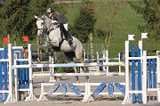 IMG_0037