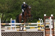 IMG_0002