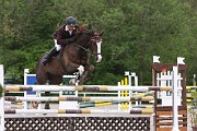 IMG_0101