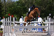 IMG_0282