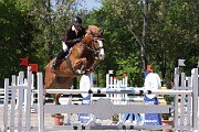 IMG_0291