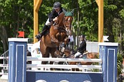 IMG_0334