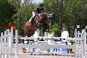 IMG_0338