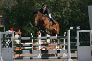 IMG_0010