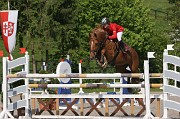 IMG_0687