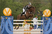 IMG_0801