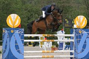 IMG_0817