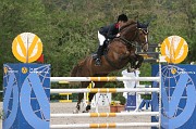 IMG_0819