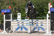 IMG_0206