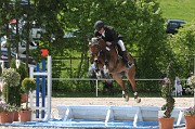 IMG_0338