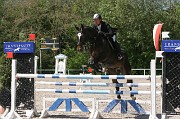 IMG_0342
