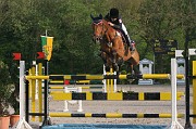 IMG_0011