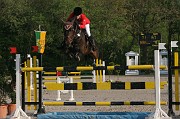 IMG_0022