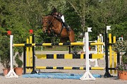 IMG_0119
