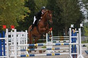 IMG_0006