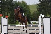 IMG_0020
