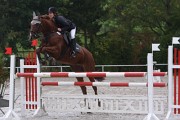 IMG_0019