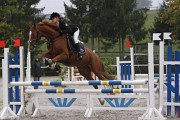 IMG_0012
