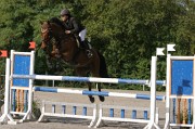 IMG_0031