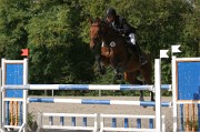 IMG_0048