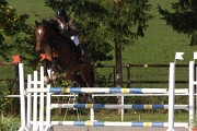 IMG_0006