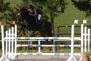 IMG_0011