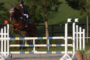IMG_0011