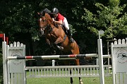 IMG_0028