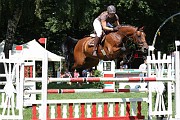 IMG_0037