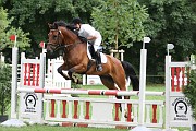 IMG_0006