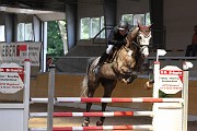 IMG_0017