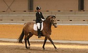 IMG_0009