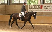 IMG_0010