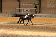 IMG_0020