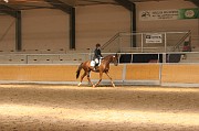 IMG_0036