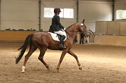 IMG_0050