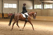 IMG_0051