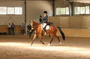 IMG_0056