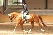 IMG_0062