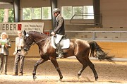 IMG_0065