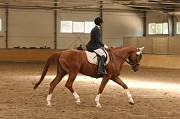 IMG_0066